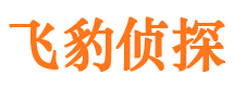 万秀市侦探公司